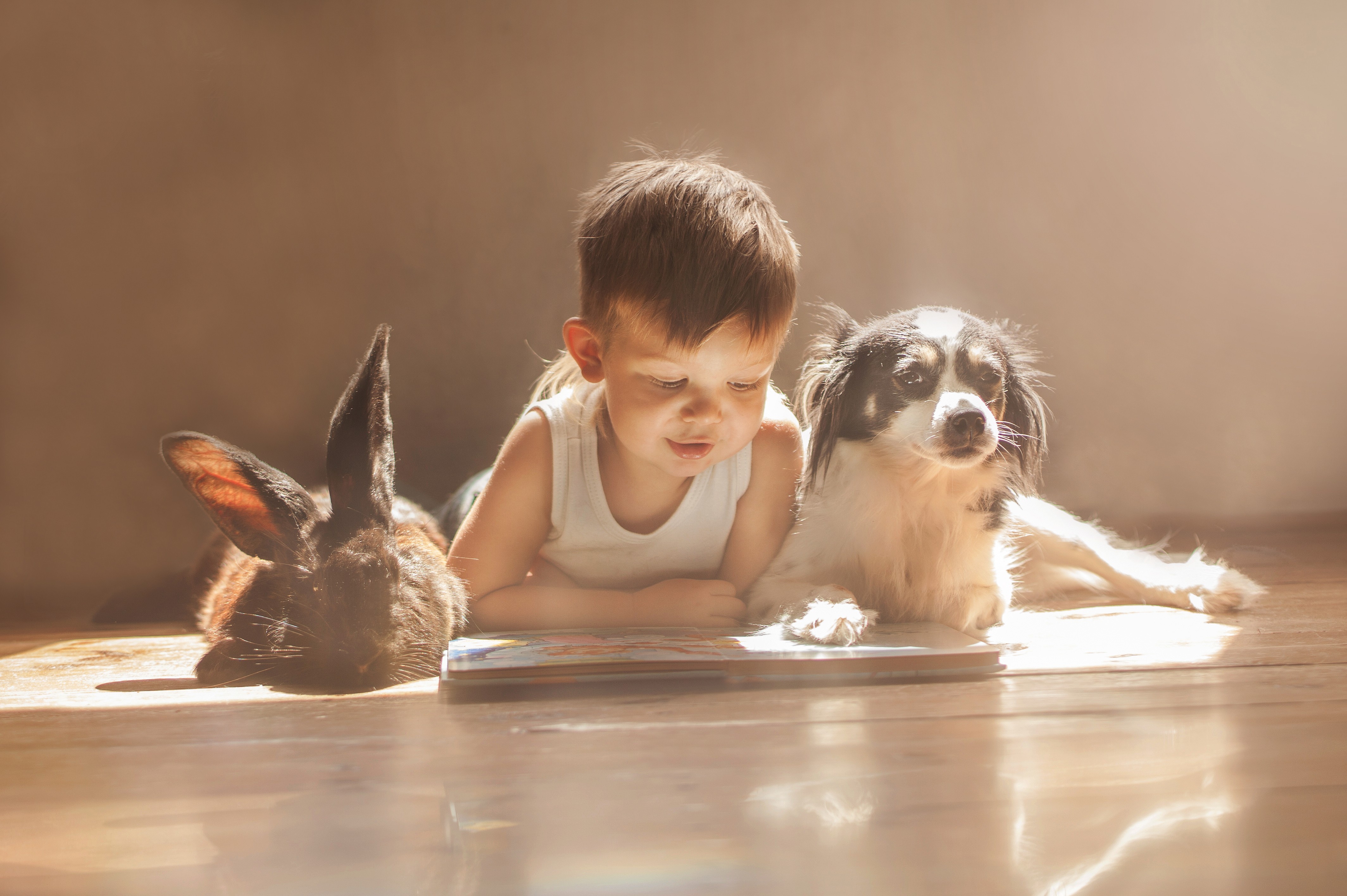 Мальчик с собакой описание. Для детей. Животные. Домашние животные для детей. Ребенок и животное. Ребенок и домашние живот.